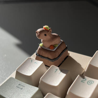 Capybara Capybara